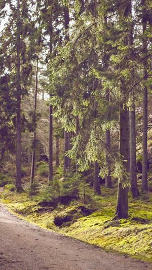 什么叫吃瓜群众截图5