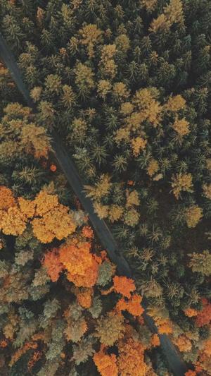 黑料网最新地址截图3