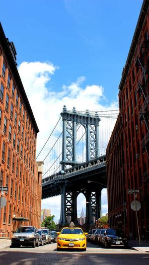 哈密瓜和芒果能一起吃吗截图2