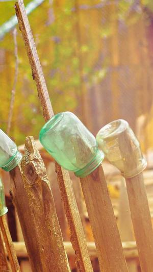 吃哈密瓜会胖吗截图3