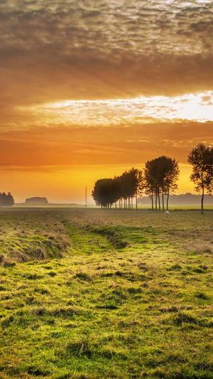 对照组知青吃瓜日常截图3