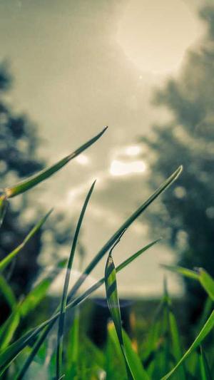 切瓜怎么吃截图2