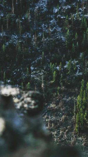 黑料大爆炸截图2