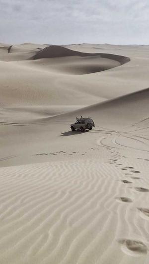 吃瓜网在线截图2