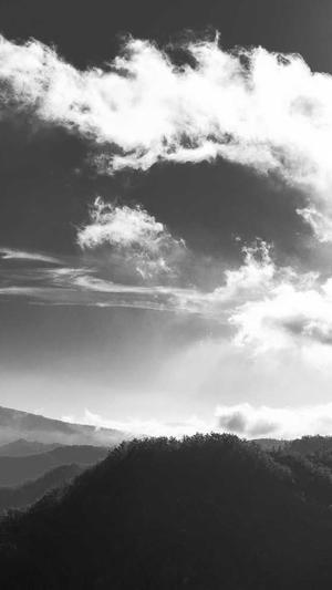 吃哈密瓜的坏处截图3