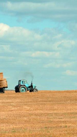 蔡萝莉黑料截图3