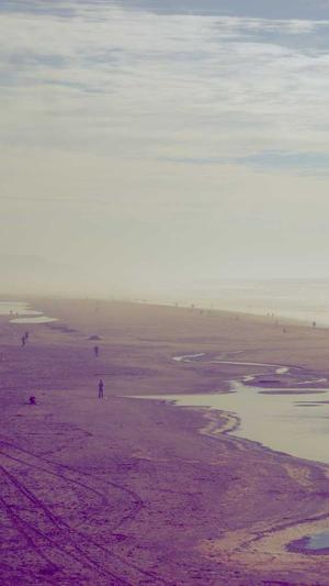 周黑鸭卤料包截图3