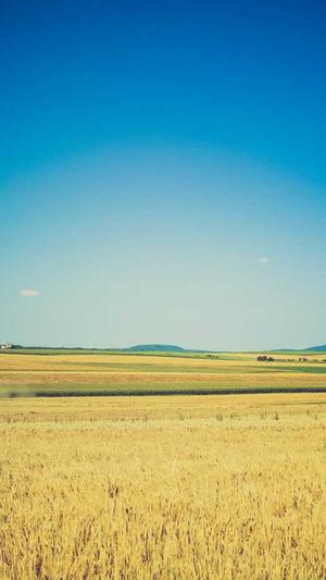 麻梨疙瘩黑料截图4