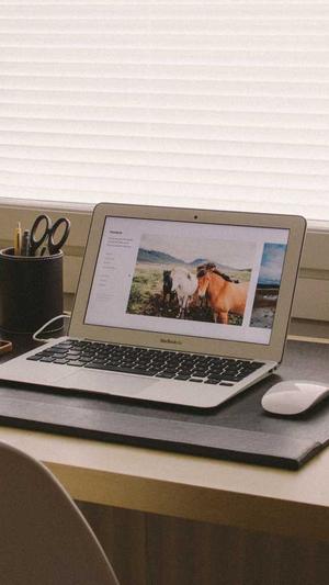 吃瓜网站黑料截图4