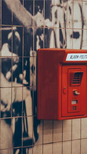 张天爱黑料截图4