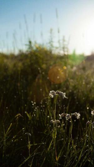 黑料在线视频截图2