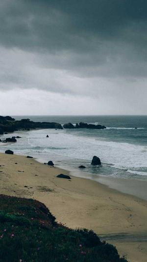 柯基可以吃哈密瓜吗截图2