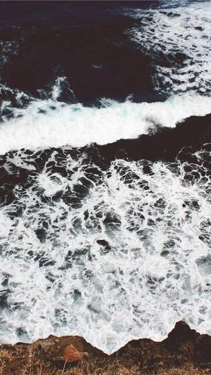 首页一黑料社区截图3