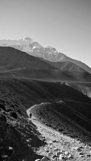 冲哥黑料江小辣截图3