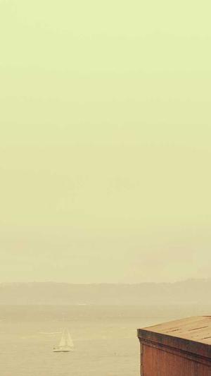 奇迹宠物店老板吃瓜截图3