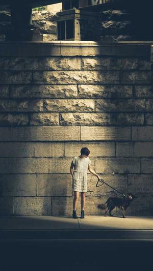 带你吃瓜搞笑视频截图2