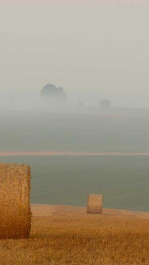 黑料正能量入口2022截图5