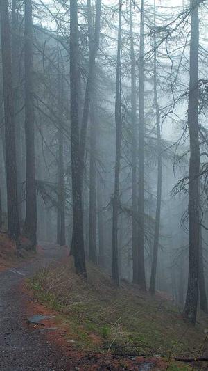 天涯爆料娱乐圈黑料截图1