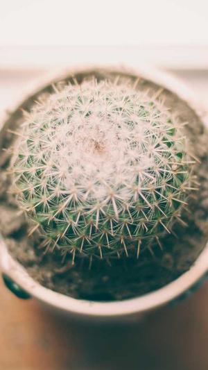 51fun吃瓜网截图4