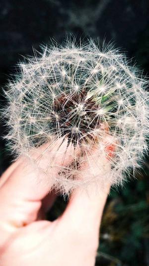 周黑鸭卤料包截图5