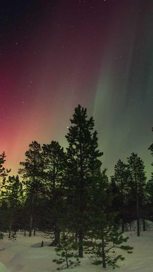 straykids李龙馥黑料截图4