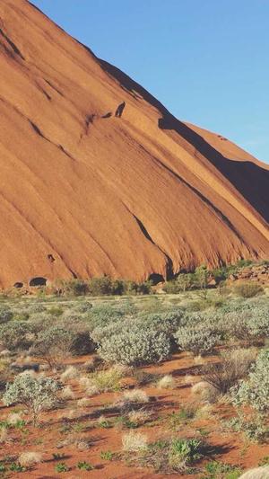 zztt黑料不打烊网站截图3