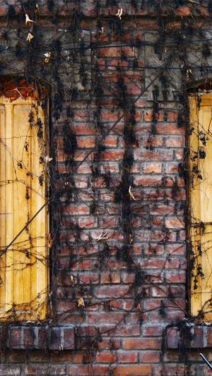 黑料不打烊吃瓜截图4