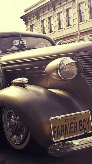 啄木鸟全程吃瓜截图3