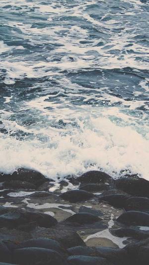 天涯爆料娱乐圈黑料截图3