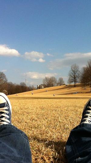 聚氨酯发泡黑料与白料截图1