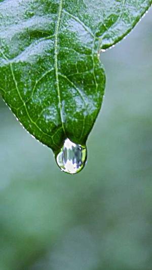 孕期可以吃哈密瓜么截图5