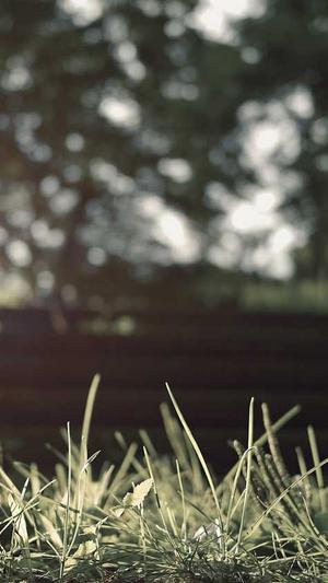 黑料不打烊入口导航so截图1