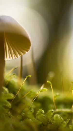 17吃瓜官网截图3