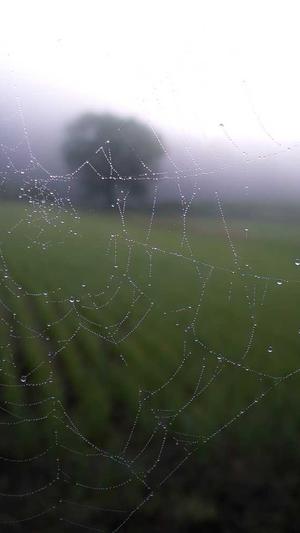 黑料不打烊被和谐了截图1