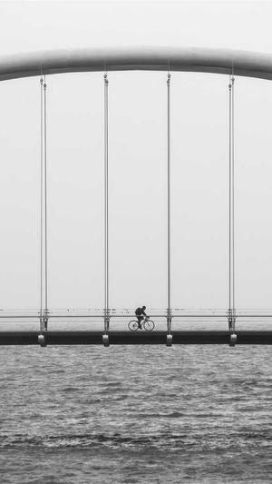 佛手瓜不能和什么一起吃截图4