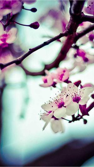 黑料不打烊直接入口截图3