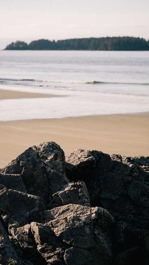 heiliao.su黑料不打烊官网截图2