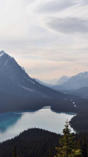 soeg黑料不打烊截图3