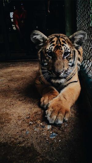 瓜瓜吃瓜的故事截图1