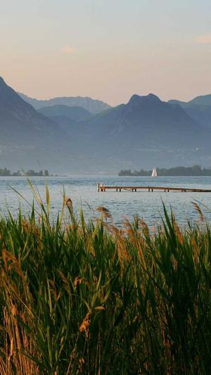 黑料不打烊万篇长征截图1