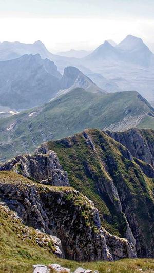 孕妇可以吃哈密瓜吗早期截图4