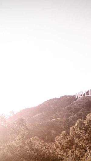 佛手瓜怀孕可以吃吗截图1