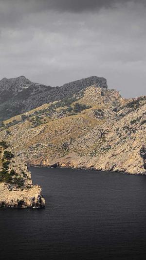 zztt25黑料不打烊截图2