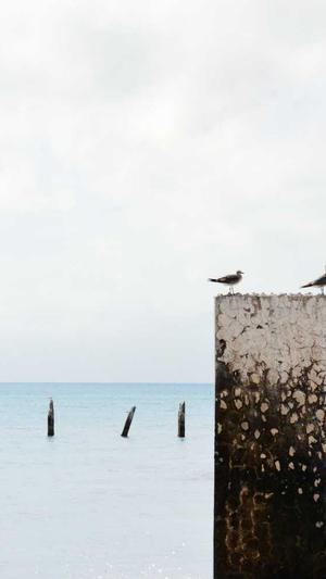 八月炸瓜怎么吃截图2