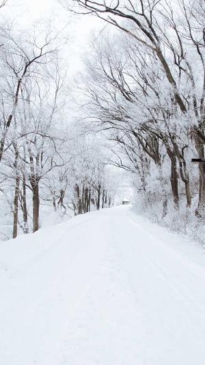 汉青书半霍去病黑料截图1