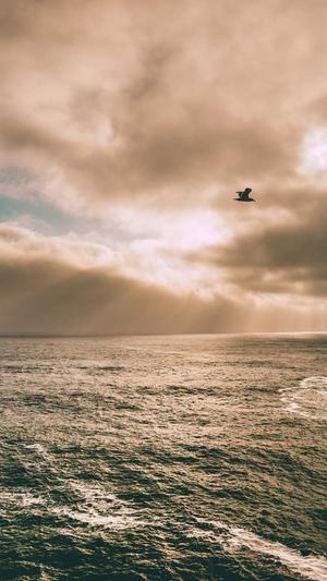 zztt15黑料不打烊官网截图4