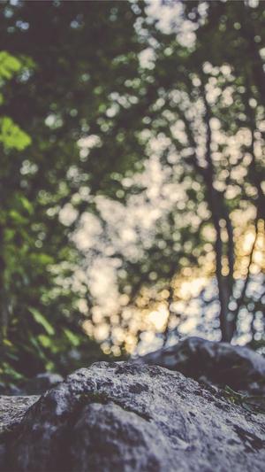 qq吃瓜资源群截图3