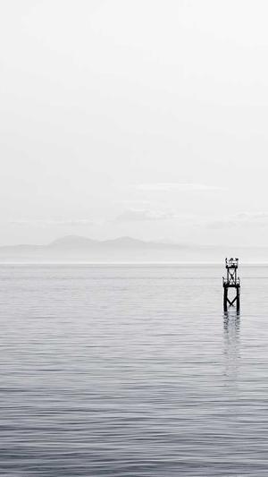 一只小团团黑料截图5