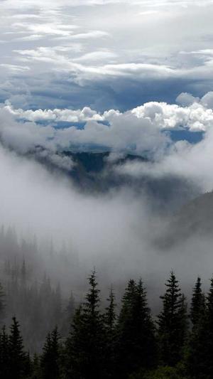 万里长征黑料不打烊最新网站截图3